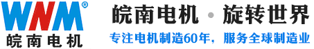 安徽EMC易倍电机股份有限公司